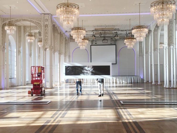 SetUp "Black & Stripes", 07, Flora, 2018