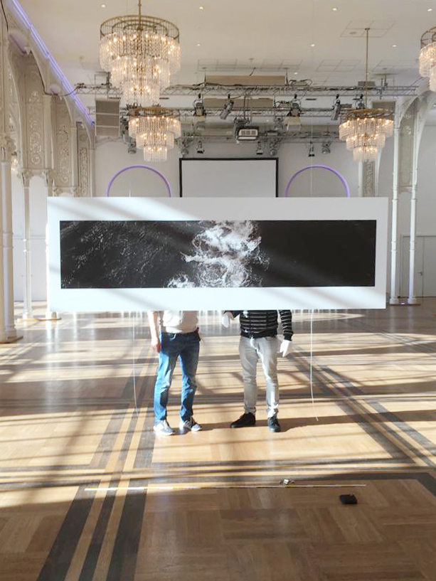 SetUp "Black & Stripes", 08, Flora, 2018