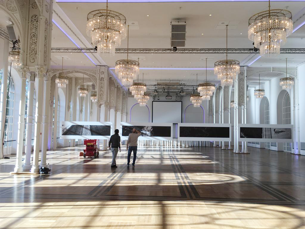 SetUp "Black & Stripes", 04, Flora, 2018