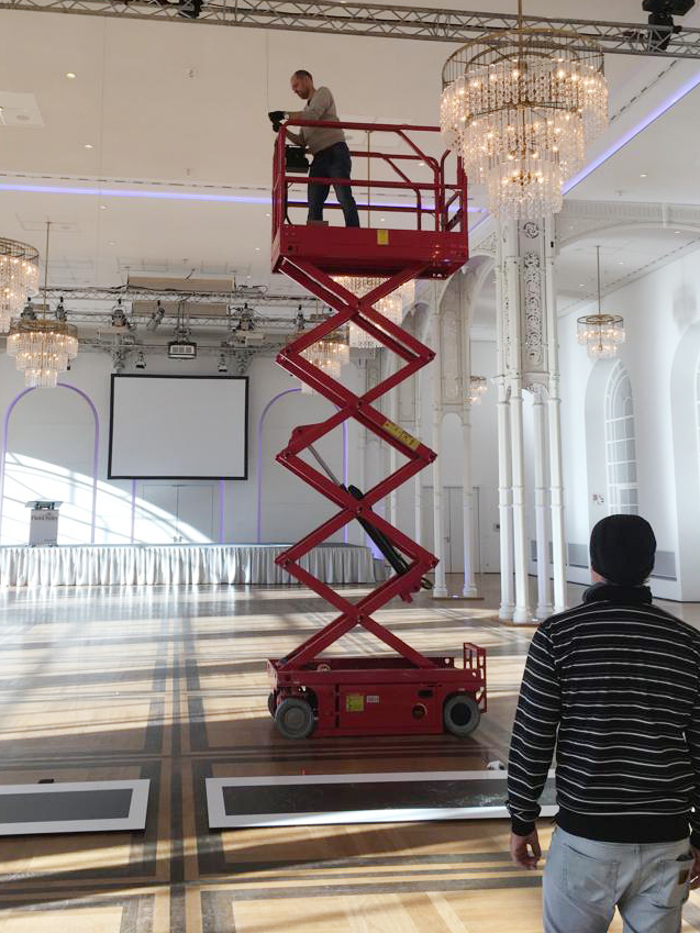 SetUp "Black & Stripes", 05, Flora, 2018