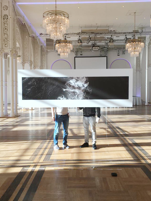 SetUp "Black & Stripes", 06, Flora, 2018