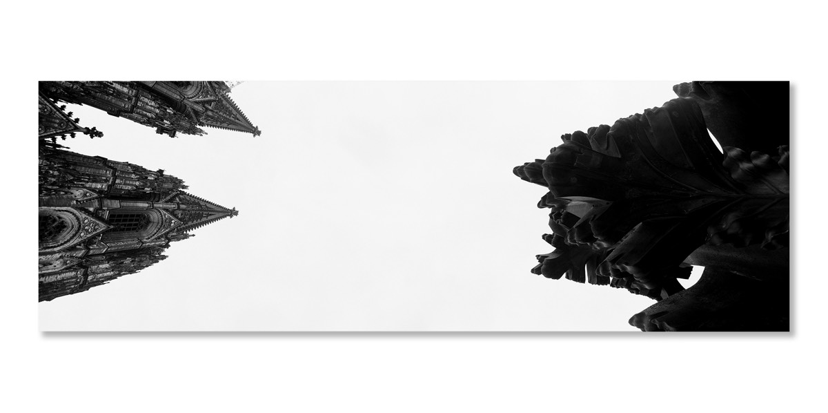 Kreuzblume, 2016, 50 x 150 cm