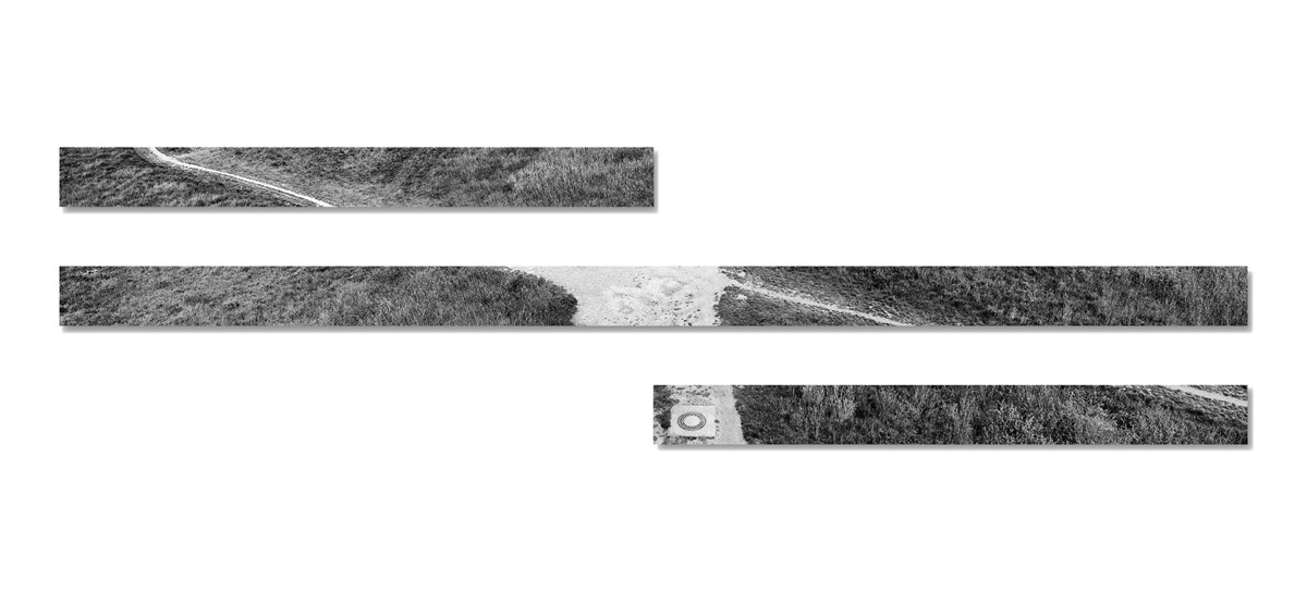 Pollerwiesen_02, 2016, 2 Teile à 10 x 100cm, 1 Teil à 10 x 200 cm